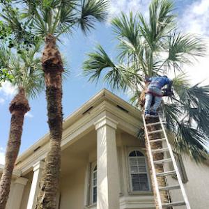 3 Brothers Lawn Service