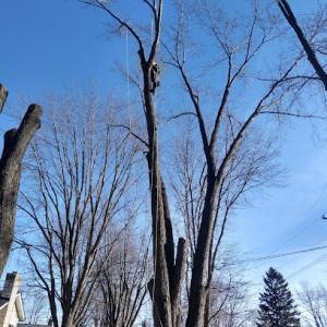 A2Z Outside Services