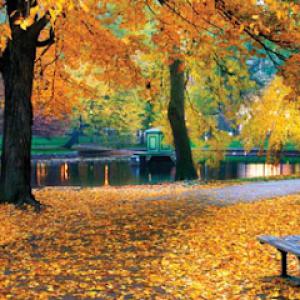 Scott Harrington Landscape & Tree Service