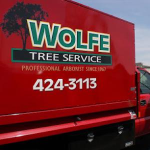 Wolfe Tree Service, Belleville, WI