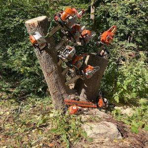 New England Tree Guys