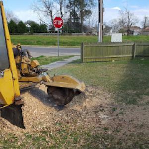 Hank's Stump Grinding