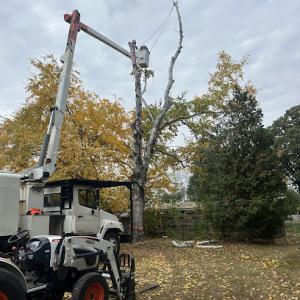A & E Lawn, Snow & Tree