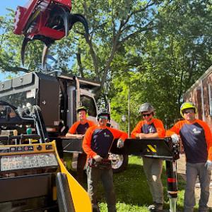 Clearview Tree Services