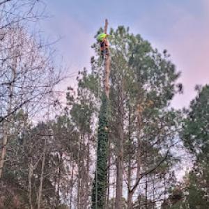 RAM Tree Service