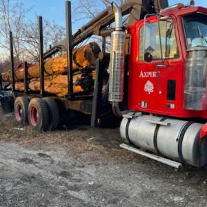 Axpert Tree Services