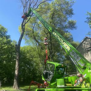Andover Tree Care