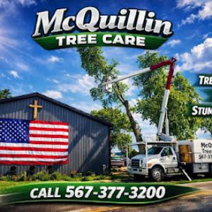 McQuillin Tree Care - Tree Removal, Trimming & Stump Grinding Toledo