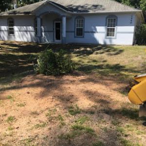 RJ Clements Stump Grinding