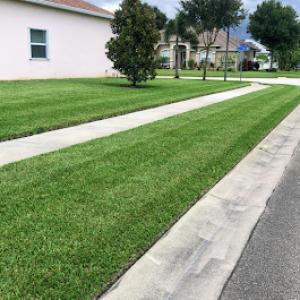 Ethan's Lawn & Landscape