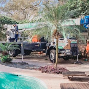 Big Branch Tree Service