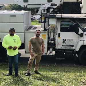 Hudson Valley Tree Removal