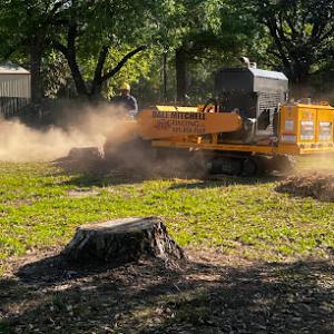 Dale Mitchell Stump Grinding