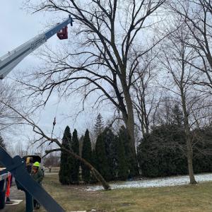 ALL Crane & Tree Services