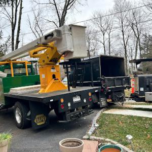 Greenwood Lake Tree Service