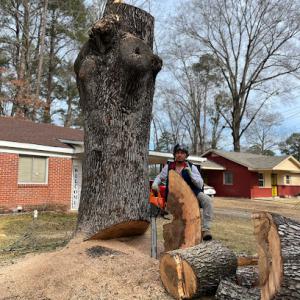 Miguel’s tree service