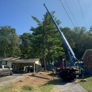 Brock's Tree Service