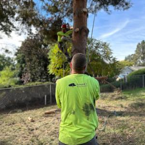 Strunk's Tree Service