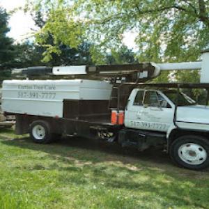 Curtiss Tree Care