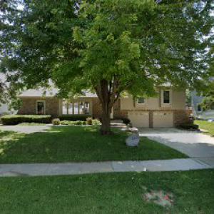 Timberline Tree Service