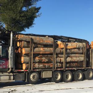 Habitat Management of Michigan