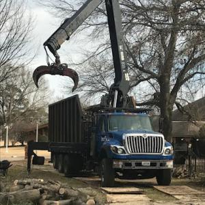 Uplift Tree Trimming