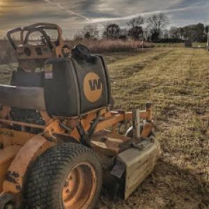 Bizzy Bee Lawn Care,LLC