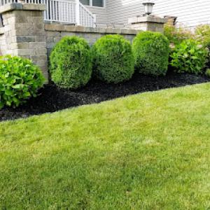 Green Life Property Services