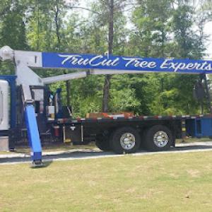 Tru Cut Tree Experts