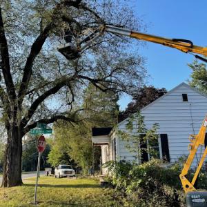 Ridgeline Tree Service