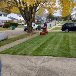 A1 Mccormick Landscaping & Lawn