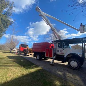 Grant Brothers Tree Service