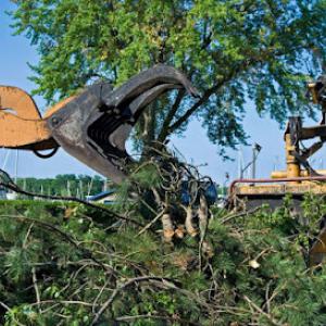 Clavette Tree Service