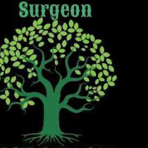 David the Tree Surgeon