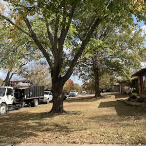 Top Limb Tree Service