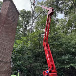 Suburban Tree Experts