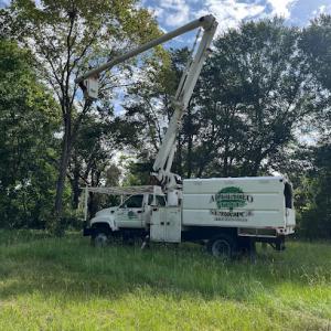 Alberto Tree Service