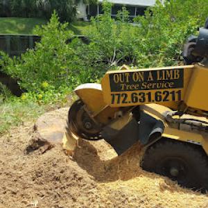 Out On A Limb Tree Service