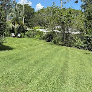 Flagler Trees & LawnService