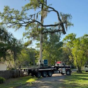 North River Tree Service