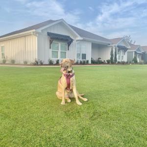 Turf-MD Lawn Care Of Panama City