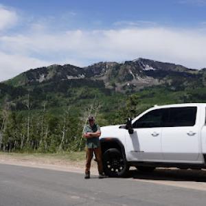 John Walters Expert Arborist