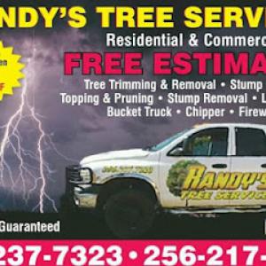 Randy's Tree Service