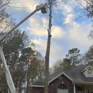RS Tree Service