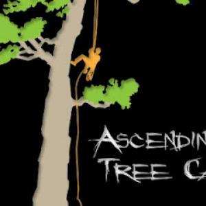 Ascending Tree Care