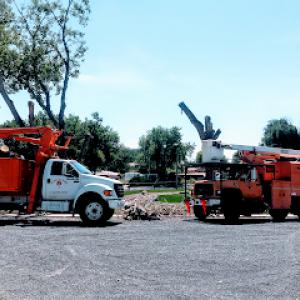 Charles & Charles Tree Service
