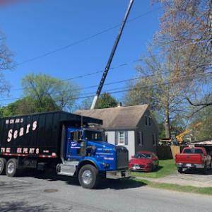 Richard Sears Tree Experts