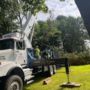 ArborWRX Tree Services