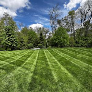 Backyard Barber Lawn Care & Landscaping