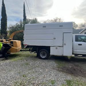 Green Tree Trimming lic# 1135937